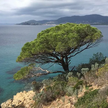 Coquet Mas A Gigaro La Croix-Valmer